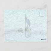 Carte Postale Un penseur (Dos)