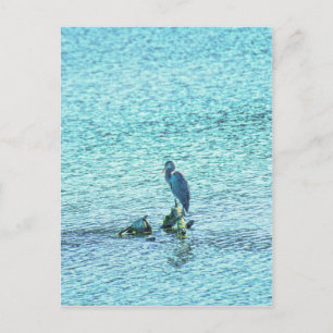 Carte Postale Un penseur