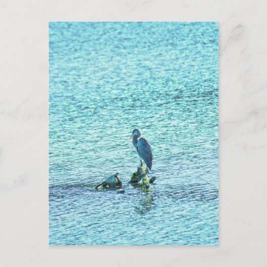 Carte Postale Un penseur (Devant)