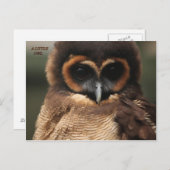 CARTE POSTALE UN PETIT CHEMIN (Devant / Derrière)