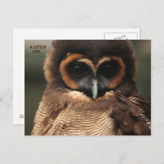 CARTE POSTALE UN PETIT CHEMIN (Devant / Derrière)