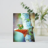 Carte Postale Un petit dragon dort (Debout devant)