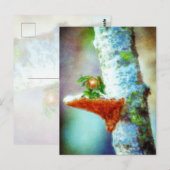 Carte Postale Un petit dragon dort (Devant / Derrière)