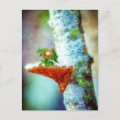 Carte Postale Un petit dragon dort (Devant)