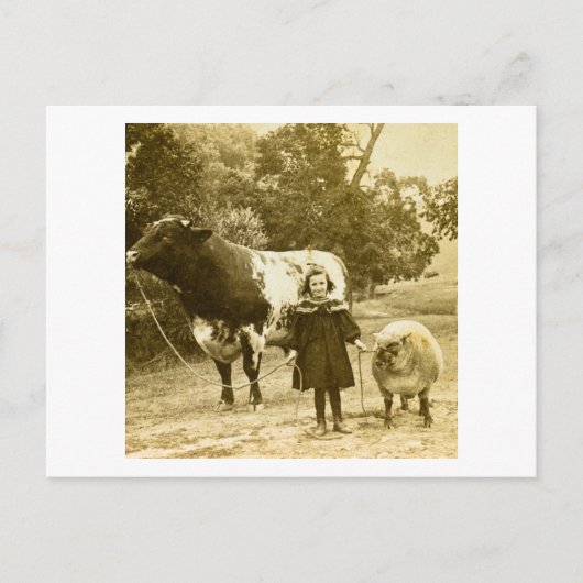 Carte Postale Un Petit Enfant Les Dirige (Devant)