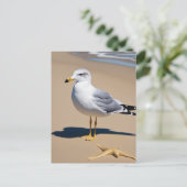 Carte Postale Un petit mouette sur une jolie plage entourée de g (Debout devant)