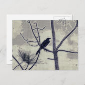 Carte Postale Un petit oiseau - Au revoir (Devant / Derrière)