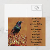 Carte Postale Un Petit Oiseau M'A Raconté La Photo D'Oiseau De S (Devant / Derrière)