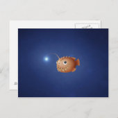 Carte Postale Un peu de poisson-pêcheur (Devant / Derrière)