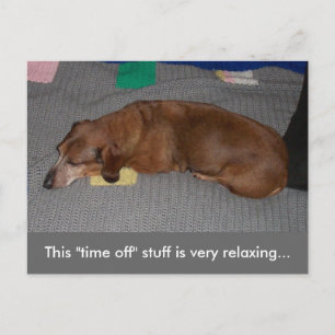 Carte Postale Un peu de R & R - Chien Snooze