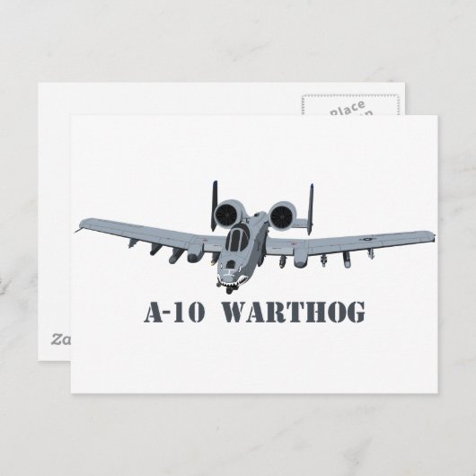 Carte Postale Un phacochère A-10 (Devant / Derrière)