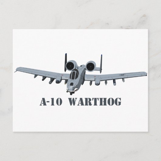 Carte Postale Un phacochère A-10 (Devant)