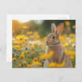 Carte Postale Un pinceau de la nature : Lapin (Devant / Derrière)