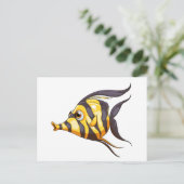 Carte Postale Un poisson rayé (Debout devant)