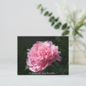 Carte Postale Un poney pour vos pensées... (Debout devant)