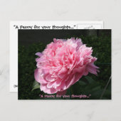 Carte Postale Un poney pour vos pensées... (Devant / Derrière)