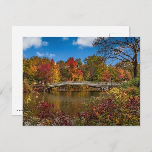 Carte Postale Un pont dans Central Park (Devant / Derrière)