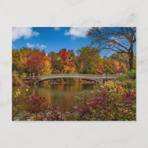 Carte Postale Un pont dans Central Park