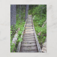 Un pont dans les bois