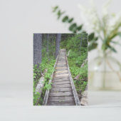 Carte Postale Un pont dans les bois (Debout devant)