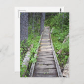 Carte Postale Un pont dans les bois (Devant / Derrière)