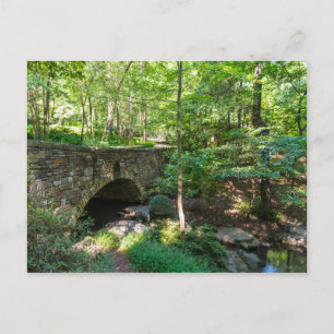 Carte Postale Un pont de sentier forestier