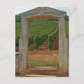 Carte Postale Un portique en pierre au vignoble (Devant)