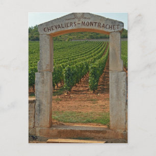 Carte Postale Un portique en pierre du vignoble