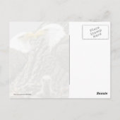 Carte Postale Un portrait de famille d'Eagle chauve (Dos)