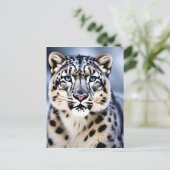 Carte Postale Un portrait en gros plan d'un léopard des neiges (Debout devant)