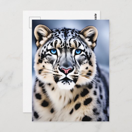 Carte Postale Un portrait en gros plan d'un léopard des neiges (Devant / Derrière)