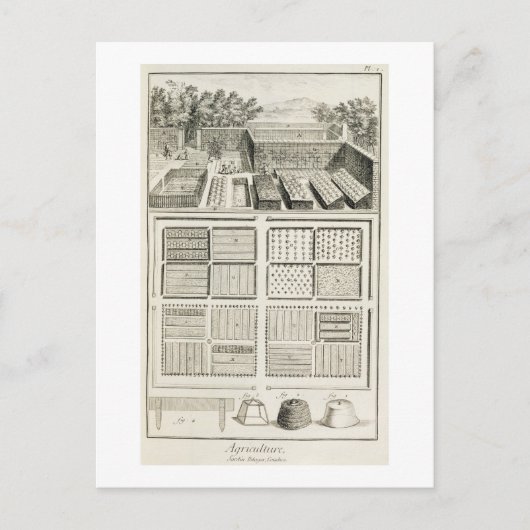Carte Postale Un potager, de l'Encyclopédie des sciences (Devant)