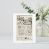 Carte Postale Un potager, de l'Encyclopédie des sciences (Debout devant)