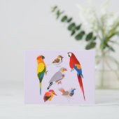 Carte Postale Un rassemblement d'oiseaux (Debout devant)