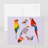Carte Postale Un rassemblement d'oiseaux (Devant / Derrière)