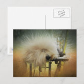 Carte Postale Un rayon de soleil ! (Devant / Derrière)