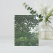 Carte Postale Un regard par la pluie 1 - Photo Abstraite (Debout devant)