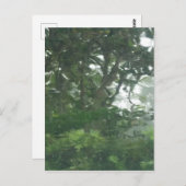 Carte Postale Un regard par la pluie 1 - Photo Abstraite (Devant / Derrière)