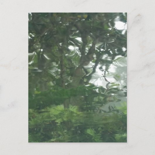 Carte Postale Un regard par la pluie 1 - Photo Abstraite (Devant)