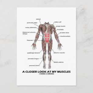 Carte Postale Un Regard Plus Près De Mes Muscles (Anatomie / Ana