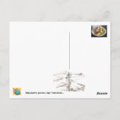 Carte Postale Un Repas Amoureux... (Dos)