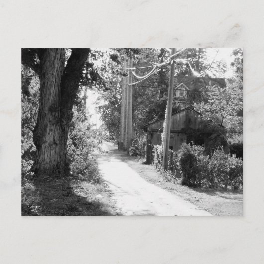 Carte Postale Un rêve de noir et blanc (Devant)