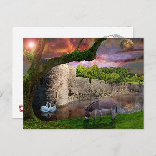 Carte Postale Un rêve de nuits d'été. (Devant / Derrière)