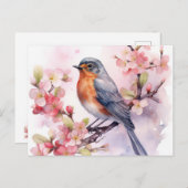Carte Postale Un Robin de Printemps parmi les fleurs de cerisier (Devant / Derrière)