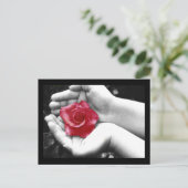 Carte Postale Un Rose à la main 2 (Debout devant)