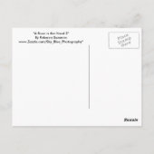 Carte Postale Un Rose à la main 2 (Dos)