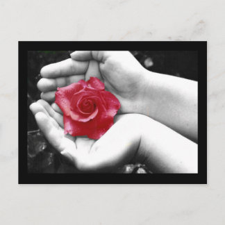 Carte Postale Un Rose à la main 2
