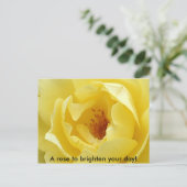 Carte Postale Un rose pour égayer votre journée ! (Debout devant)