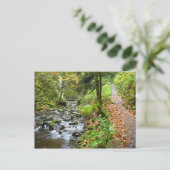 Carte Postale Un ruisseau Cool (Debout devant)