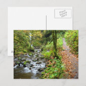 Carte Postale Un ruisseau Cool (Devant / Derrière)